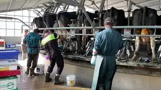 2 Min LeanFarm   