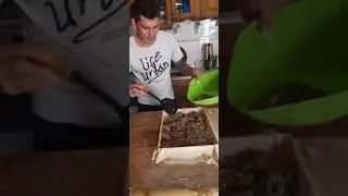 carne a la masa