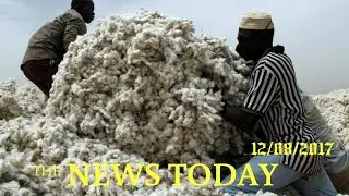 News Today 12/08/2017 | Donald Trump | Special Report: How Monsanto's GM Cotton Sowed Trouble I...