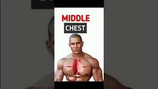 Best 3 middle chest exercise #motivation #shorts #gym