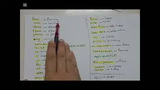 تأنيث مراجعة