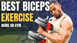 The BEST At Home Bicep Exercise Routine you can do TODAY