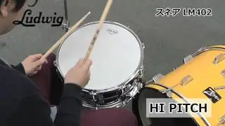 LUDWIG / スネア LM402