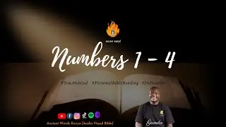 NUMBERS Chapters 1 - 4 | Audio-Visual Bible