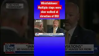 IRS whistleblower sounds alarm on Hunter Biden probe #shorts