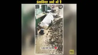 गाय का बचाता हुआ मुस्लिम युवक || DK DISCOVERY || FACTS ||