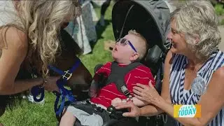 Miniature horses bring major hope and healing