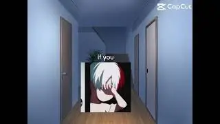 MHA funny Touya ( or Toya) and Shoto version