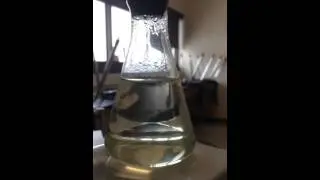 Milks & MoNaCo - Unit 7 - Playing with a Supersaturated Solution