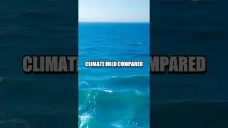 The Fascinating World of Ocean Currents