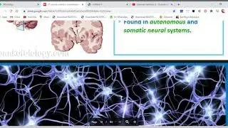 Generation and Conduction of Nerve Impulse (RESTING POTENTIAL) NCERT BY Mrs. MRIGA CHHIBBER