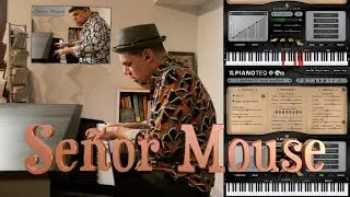 Se&ntilde;or Mouse  (Chick Corea cover) - Modartt Video Contest 2023
