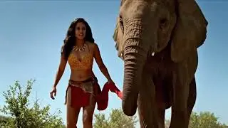 emotional animal rescue storymother animal protecting babygirl 