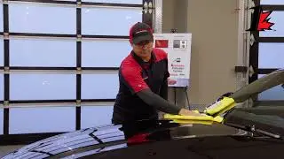 Paint Protection - Platinum Shield Protection
