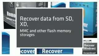Remo Recover (Windows) - Pro Edition