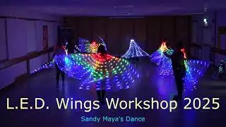L.E.D. Wings Workshop 2025 at Sandy Maya's Dance - snippet 2