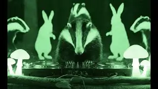 I only smoke when i drink - PARTY ANIMAL Video