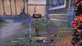 MagSorc 80.5k static rotation dragonhold no perfect siroria