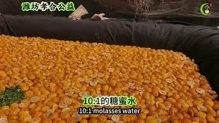 Enzyme pool fermentation---garbage hauler