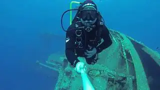 Diving Cedar Pride