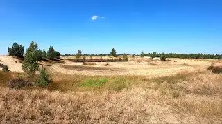 Strabrechtse heide (juli 2024)