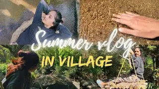 വട്ടവടയിലെ ചിലന്തിയാർ എന്ന ഗ്രാമത്തിലെ വേനൽ കാഴ്ച്ചകൾ| Summer in Vattavada | #lifeofswethappy