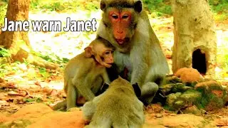 Very sad ! Janet cry temper got chase away by mom Jane | Jane not allow Janet close her