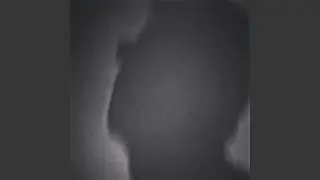 Musicorum