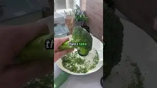 Can you use it for other purposes? #420