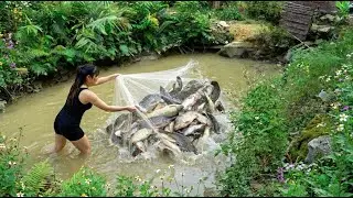 Bushcraft Catch and Cook: Draining a Wild Pond for Tilapia. #bushcraft