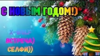 С НОВЫМ ГОДОМ!)))+X-Wolf встреча с подписчиками, селфи))
