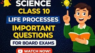 Life Processes | Board Exams | Important Questions | Quick Revision | Digestive System | class 10 