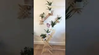 DECORA&Ccedil;&Atilde;O COM PLANTAS | CASA OU AP&Ecirc; #plantas #plantasdecasa #shorts #casa #apartamento #decora&ccedil;&atilde;o