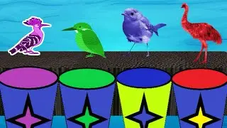 Bathing Colors Fun Animals Ostrich | Learn Colors for Children with Animals | Colors Shower Coloring