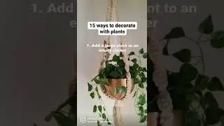 Decorating with plants - 15 ways to add plants around your home