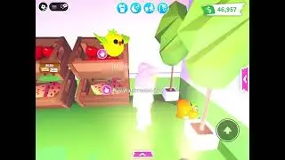 First time buying the seed ball in adopt me roblox