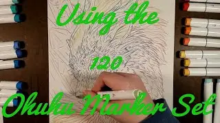 Let's Use the 120 Ohuhu Brush Marker Set