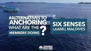 #AlternativesToAnchoring - What are the members doing? Six Senses Laamu