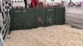 Pig races popular at NJ state fair