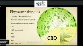 Dr Matt Andry Science of CBD with Business Opportunity