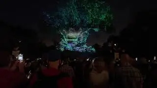 Animal Kingdom Tree of life Awakenings Light Show (Part 1) in 4K HDR