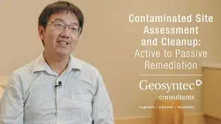Contaminated Site Assessment and Cleanup: Active to Passive Remediation | Dimin Fan