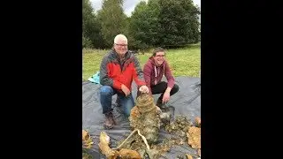 WWII HURRICANE RECOVERY      BATTLE OF BRITIAN PLANE