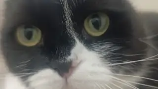 &Ccedil;ekmece turu dorin ne alaka bilmiyorum 