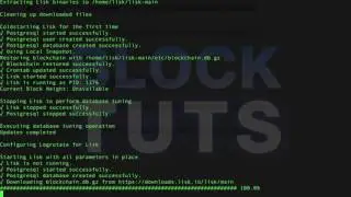 How to forge Lisk & earn ~12k LSK per month