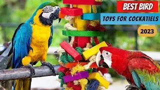 ✅ Top 5 Best Bird Toys For Cockatiels | Best Cockatiel Toys | Best Toys For Cockatiels In [2025]