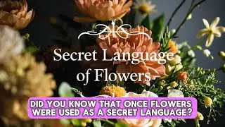 The Secret Language of Flowers 🌸 | What Your Bouquet Might Be Hiding