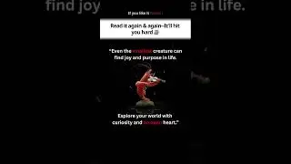 Finding Joy and Purpose Through Curiosity #quotes #life #motivation