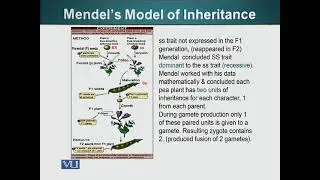 Lesson Learned: Mendel Experiment | Cell Biology | BIO5105_Topic197