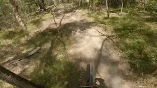 Nerang National Park MTB trails - Casuarina Grove Circuit